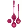 Deva Pelvic Training Set - 4-Piece Silicone Progressive Kit