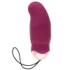 remote control vibrator