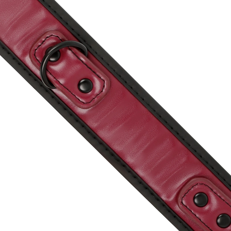 Collar & leash
