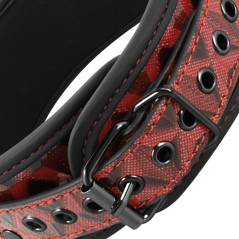 Collar & leash