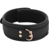 Bondage Collar & leash