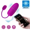Nymph App-Controlled Wireless Vibrating Egg Purple