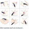 9 Modes