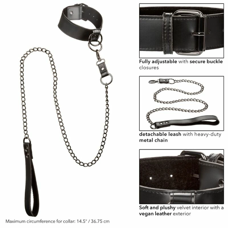 Euphoria Adjustable Collar with Detachable Metal Chain