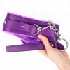 Collar & leash