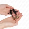 KINK Bell Jaw klipsy ozdobne na sutki czarne 7 cm z dzwoneczkami