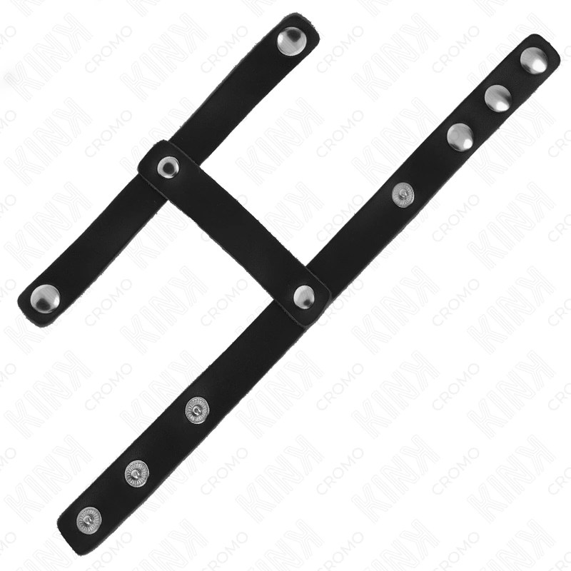 Penis Cages