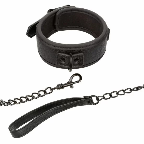 Nocturnal Leather Adjustable Collar & Leash Black