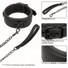 Collar & leash