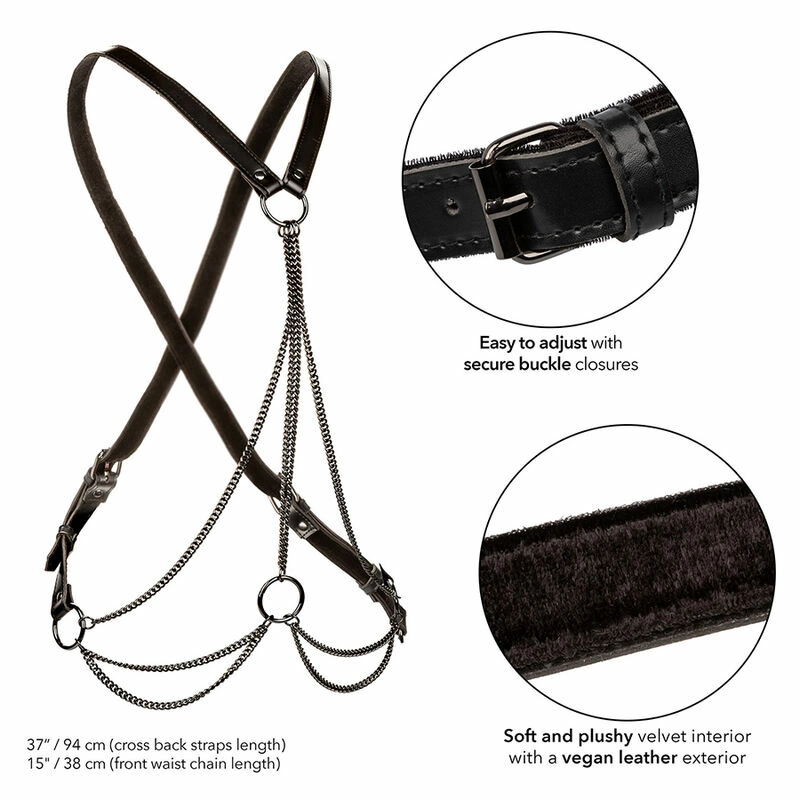 CalExotics Euphoria MultiChain Harness - uprzÄ…Å¼ premium z Å‚aÅ„cuchami