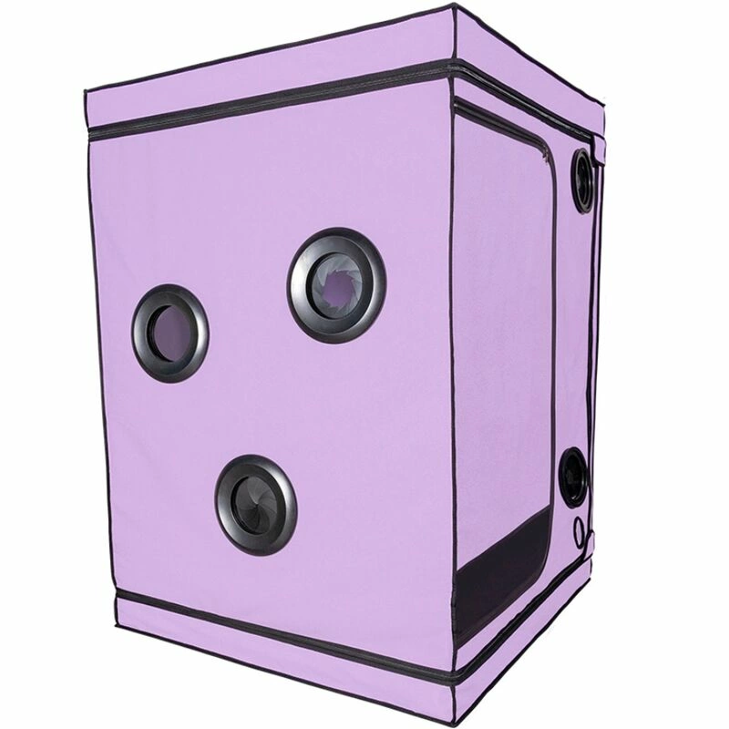 KINK CLUB SCANDALE Intimate Play Cabin Purple 100x100x140cm