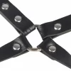 BDSM