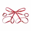 BDSM Kits