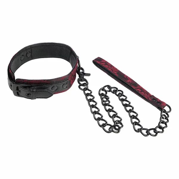 Scandal Adjustable Collar with Black Strap