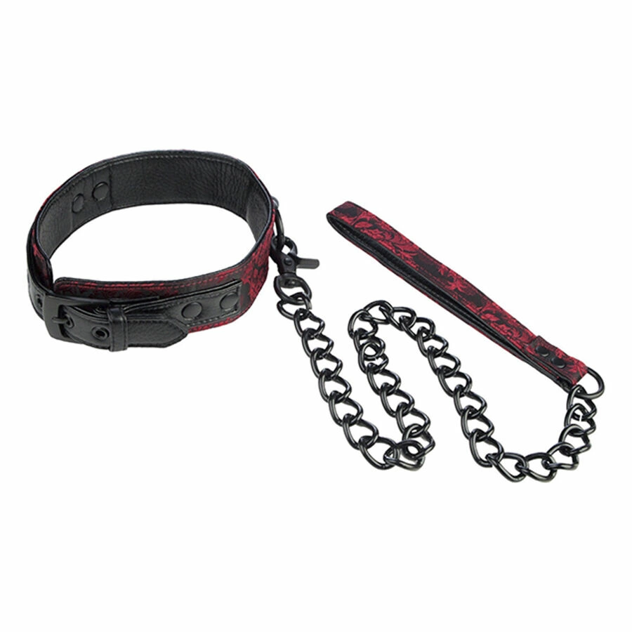 Scandal Adjustable Collar with Black Strap
