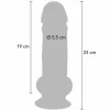 Dildos & dongs