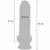 Dildos & dongs