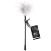 Fifty Shades of Grey Feather Tease