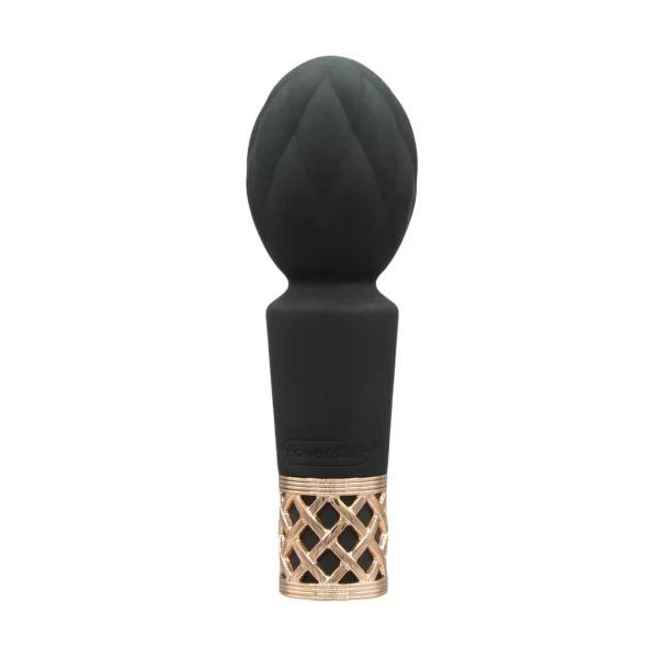 Pillow Talk Secrets Pleasure Black masażer kompaktowy USB - vibraattori