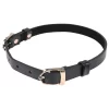 Sportsheets S&M Double Buckle Day Collar Black Adjustable