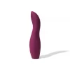 clitoral vibrator