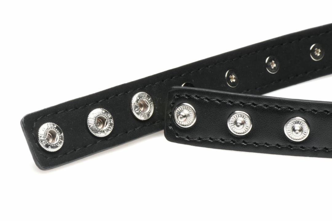 BDSM - Anelma bondage collar