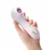 Blush Delice Fleur Air Pulse System