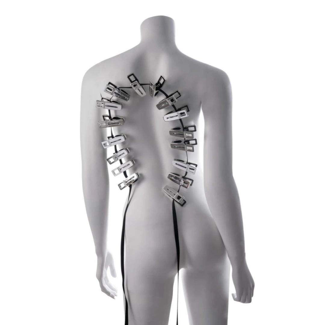 Sportsheets Edge Body Zipper Clothes Pins Silver