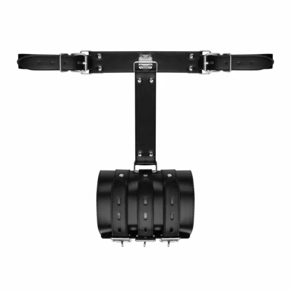 Bedroom Fantasies Blissfully Bound Adjustable Arm Restraint