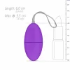 remote control vibrator
