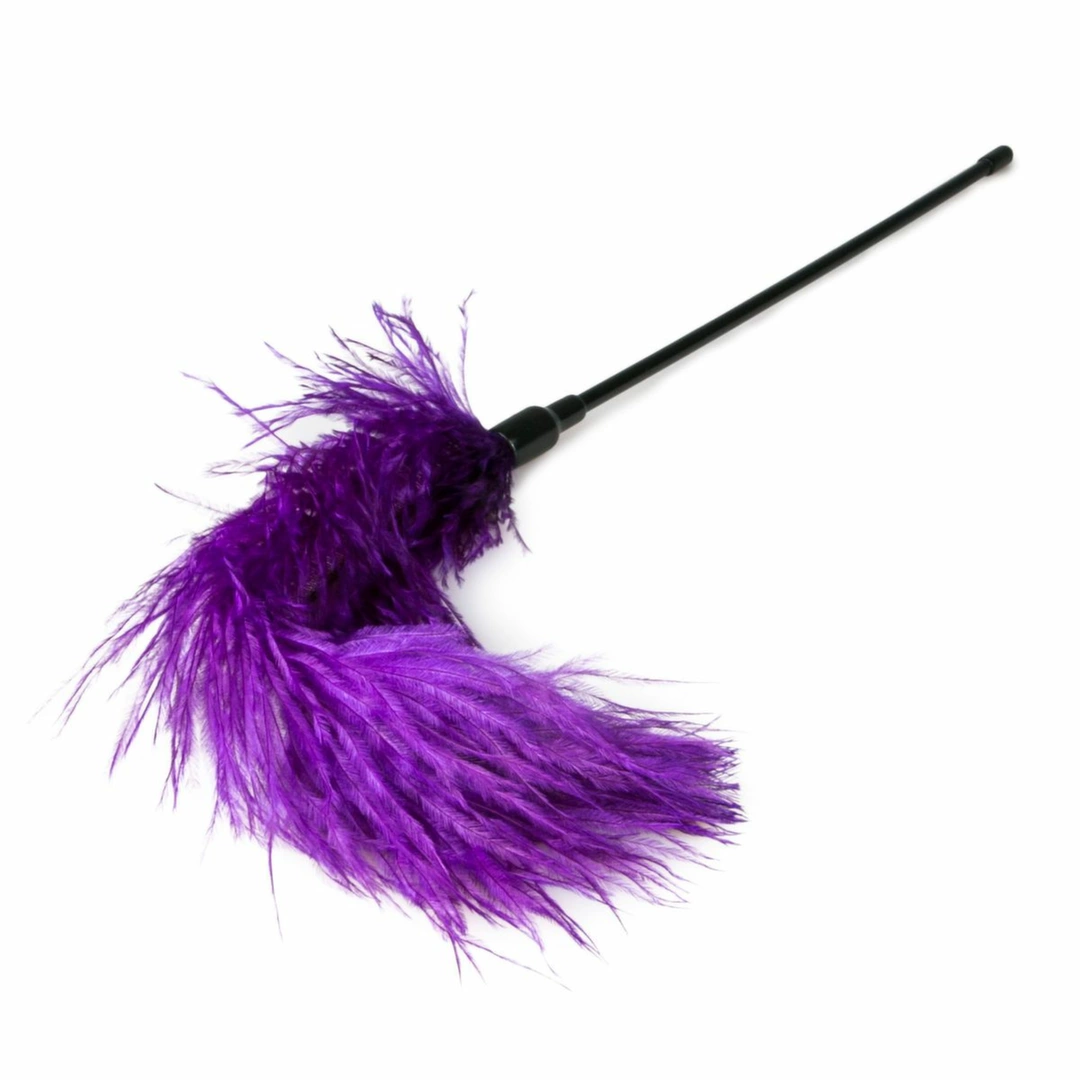EasyToys Purple Feather Tickler - fioletowy puchaty gadÅ¼et do stymulacji