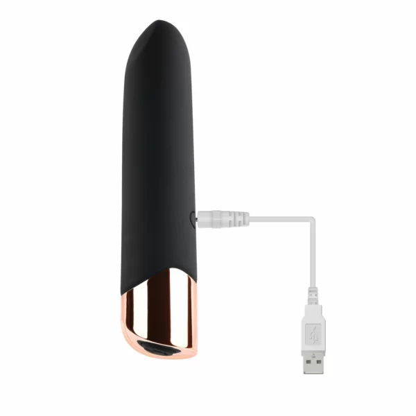 bullet vibrator