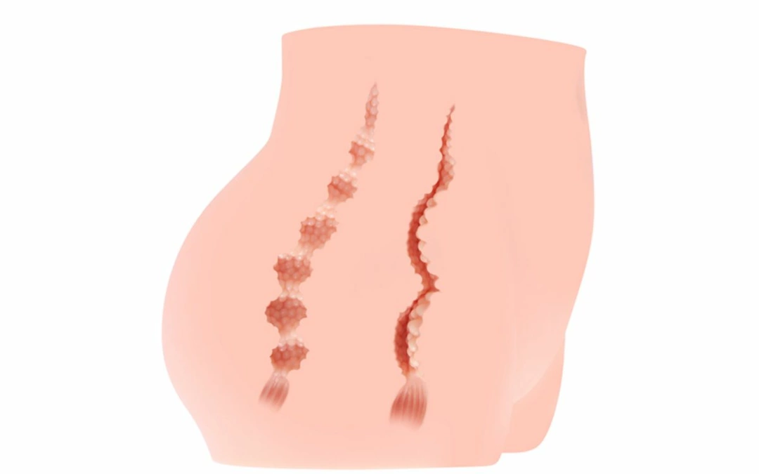 male masturbator - Anelma Cherry Model Intymny Dwukanałowy Anatomiczny XL