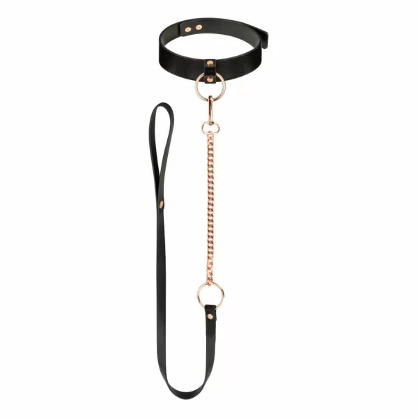 Rosy Gold Adjustable Faux Leather Collar with Detachable