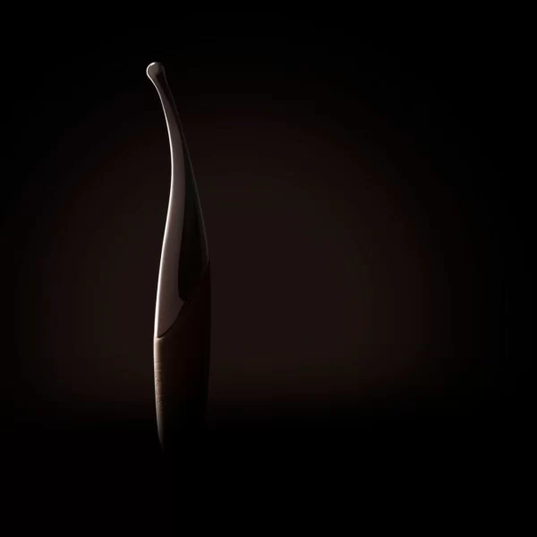 clitoral vibrator