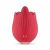 clitoral vibrator