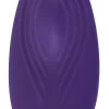 Sweet Smile Panty RC – Stymulatory łechtaczki