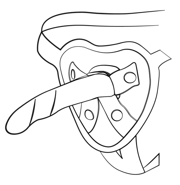 erotiikkaliike