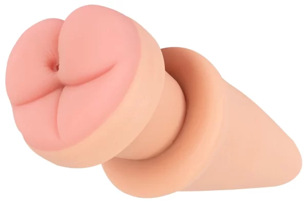 19.5cm