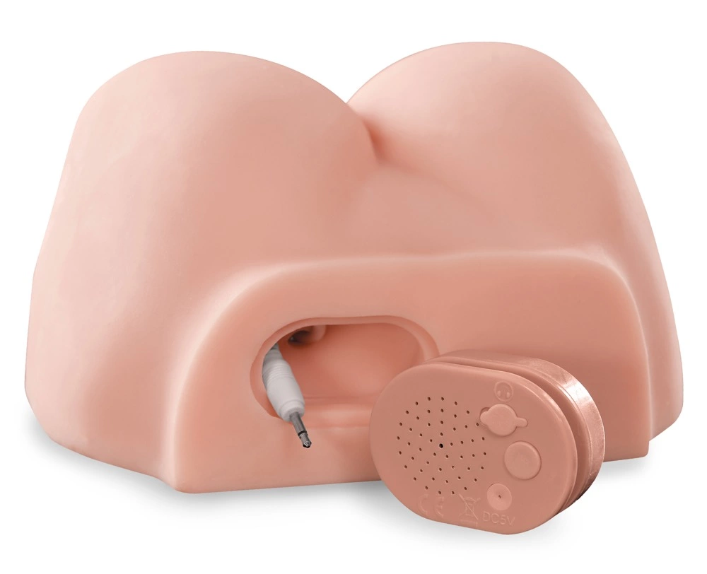 Pipedream PDXM DT Interactive System with Audio & Vibrating - Anelma Pipedream PDX Male model anatomiczny z dźwiękiem