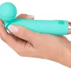 bullet vibrator
