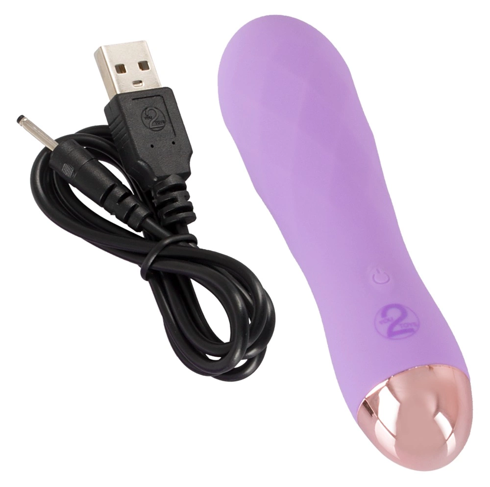 bullet vibrator