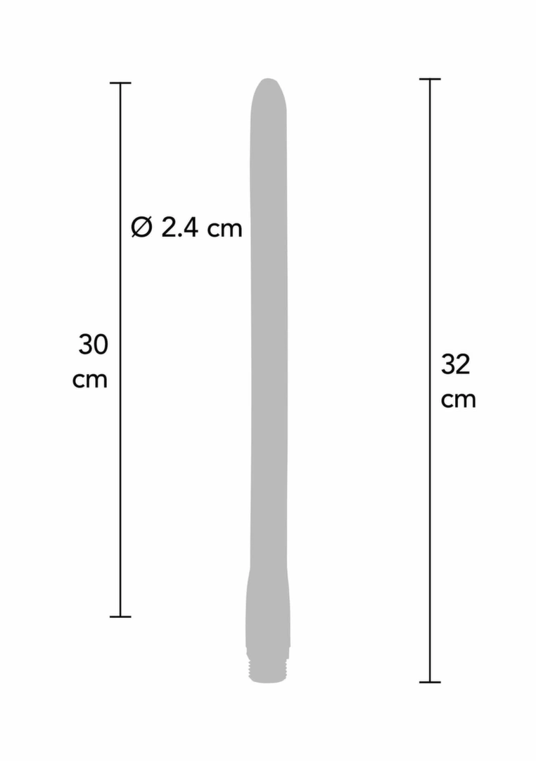 ToyJoy Buttocks The Surge Anal Douche 30 cm Flexible Silicone Hygiene Hose. Intimate douche