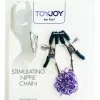 ToyJoy Stimulating Nipple Chain regulowany Å‚aÅ„cuszek stalowy