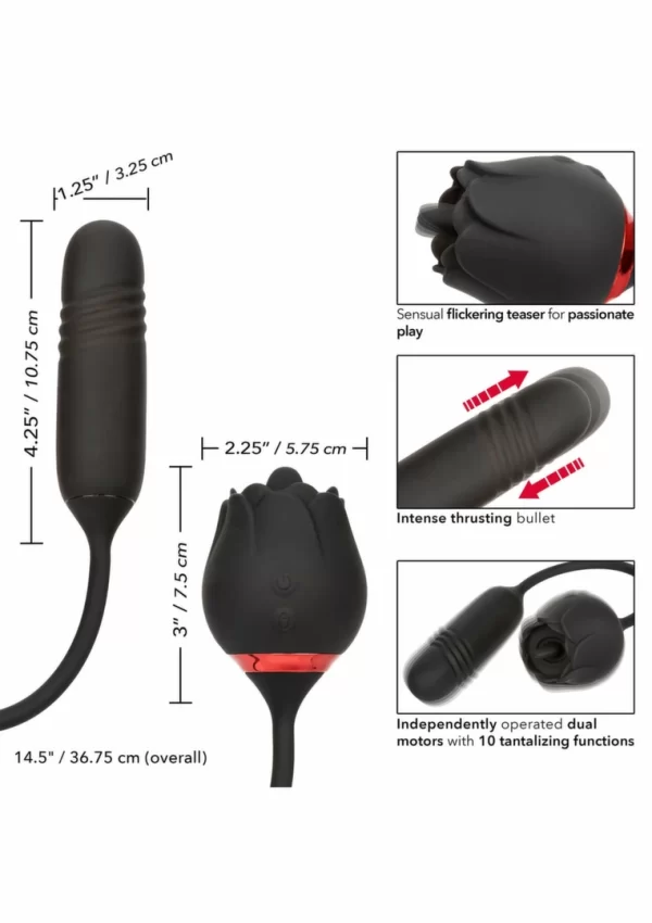 French Kiss Elite Romeo Intimate Device