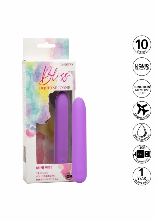 bullet vibrator