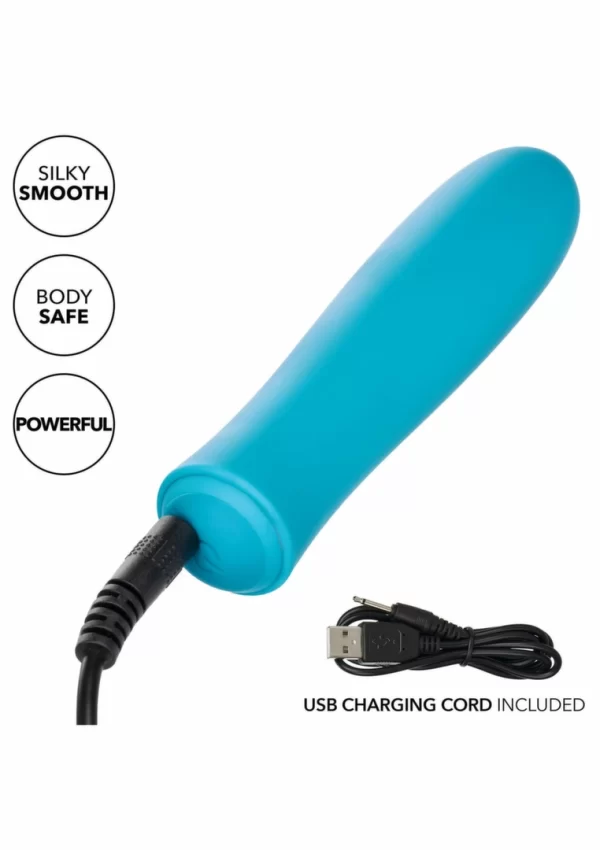 bullet vibrator