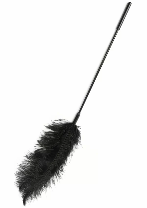 Hidden Desire EXTREME Double Feather Tickler podwojna miÄ™kka packa z pior