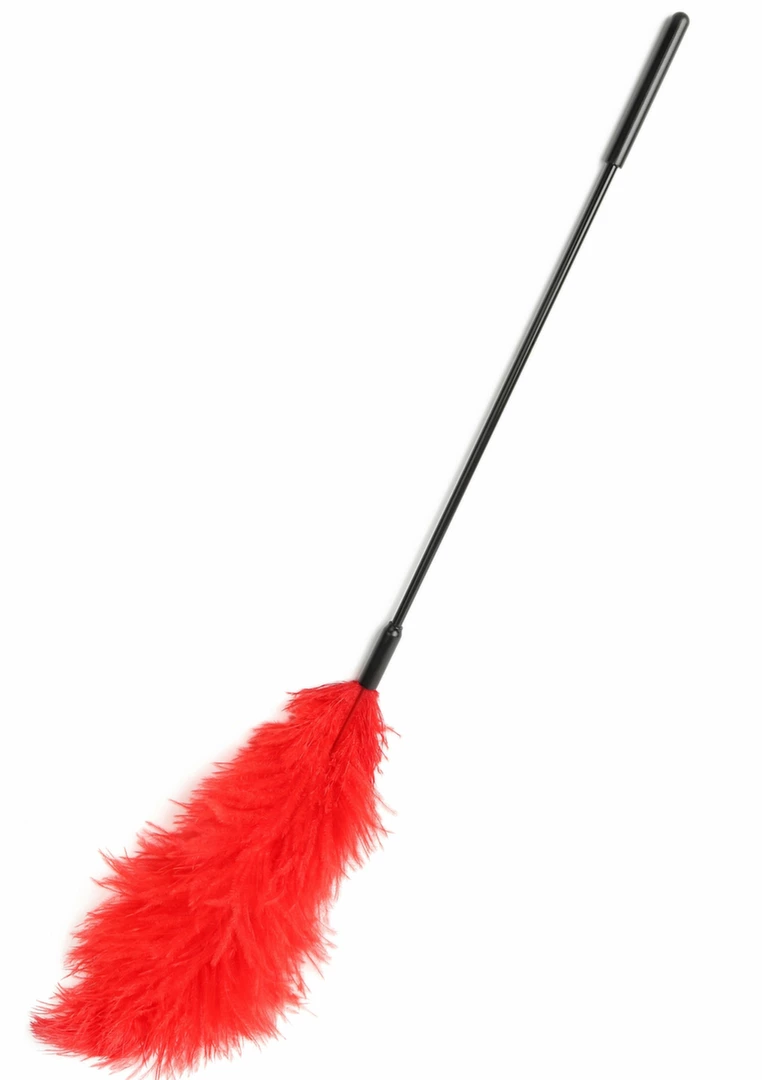 EXTREME by HIDDEN DESIRE Double Feather Tickler podwojna mioteÅ‚ka piorka