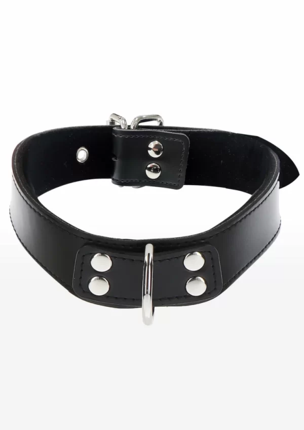 TABOOM Elegant D-Ring Collar regulowany